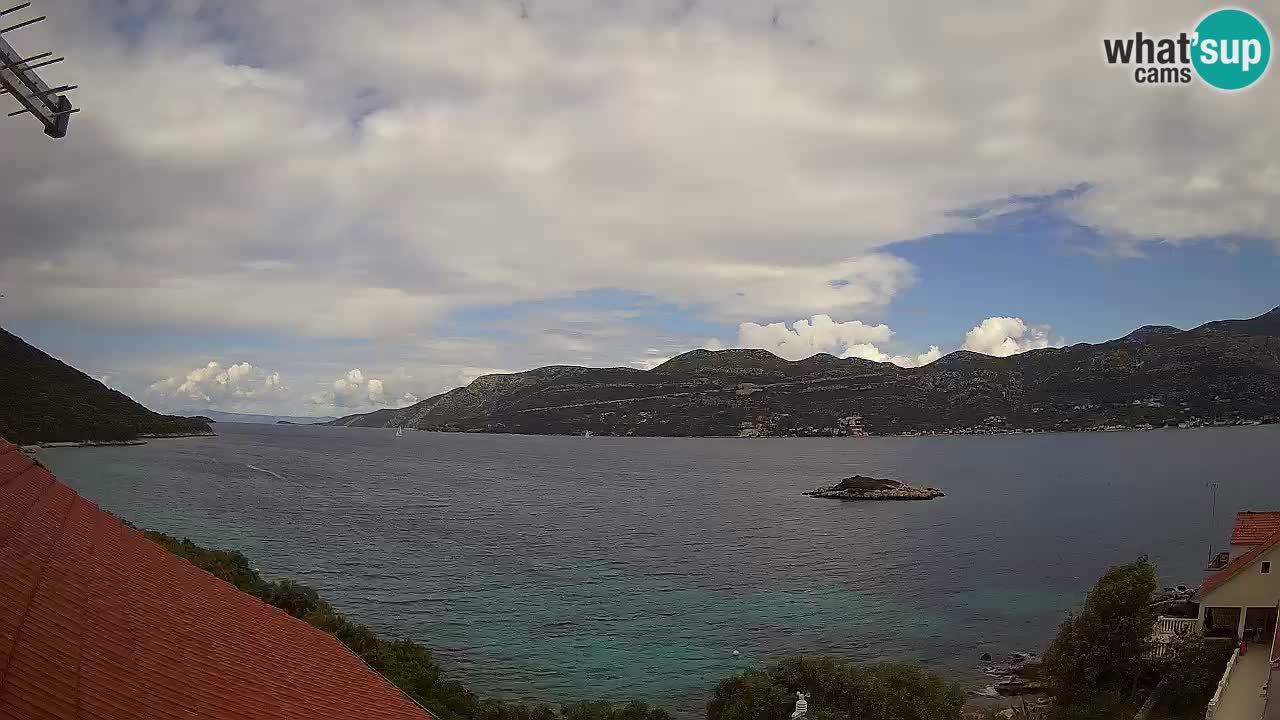 Camera en vivo Korčula – Tri Žala – Pelješac