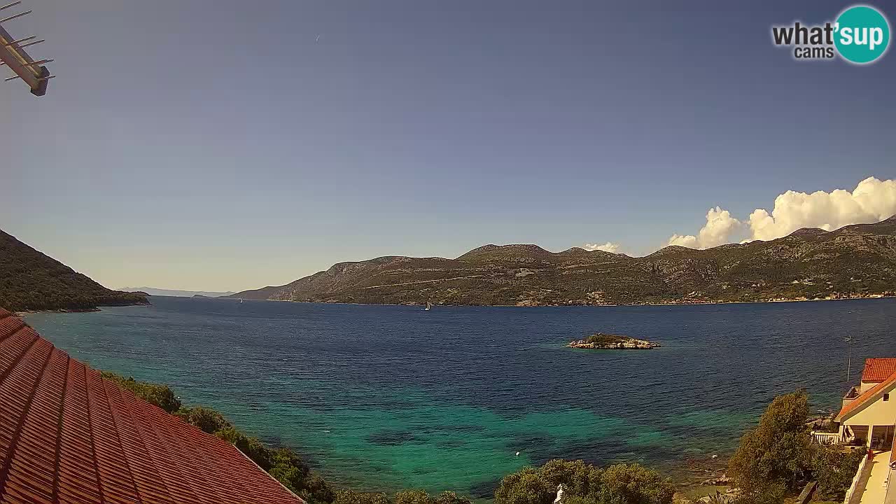 Camera en vivo Korčula – Tri Žala – Pelješac