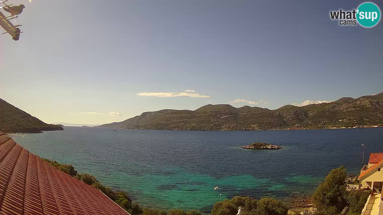 Korčula live webcam – Tri Žala panorama verso Pelješac
