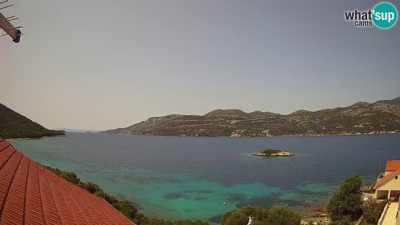Live Korčula webcam – Tri Žala