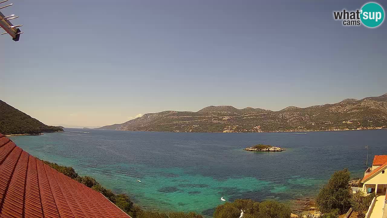 Camera en vivo Korčula – Tri Žala – Pelješac