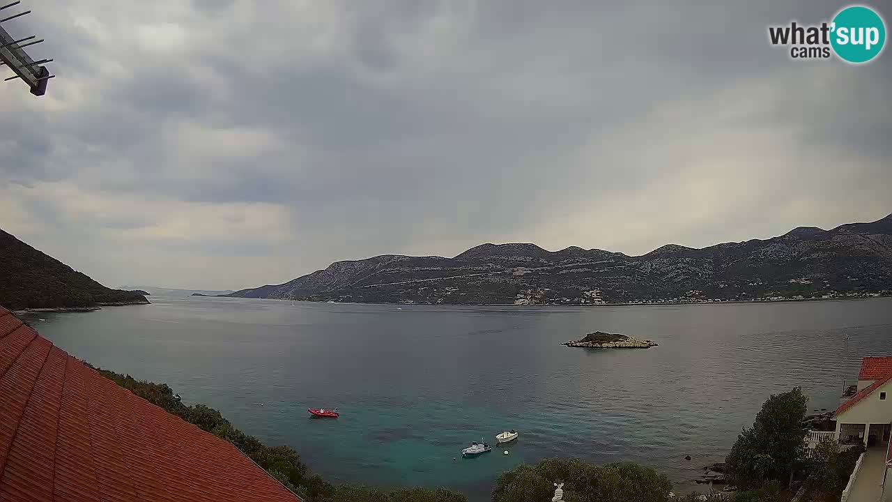 Camera en vivo Korčula – Tri Žala – Pelješac