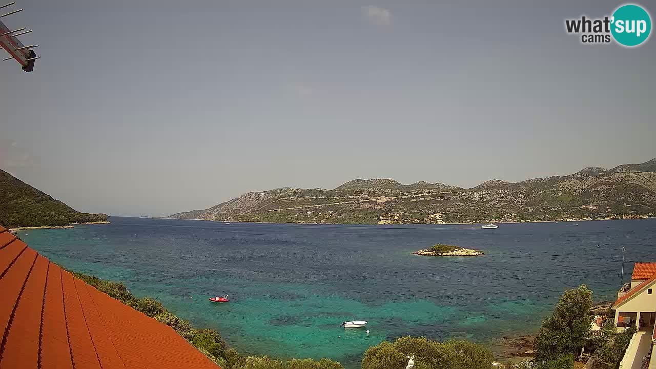 Camera en vivo Korčula – Tri Žala – Pelješac