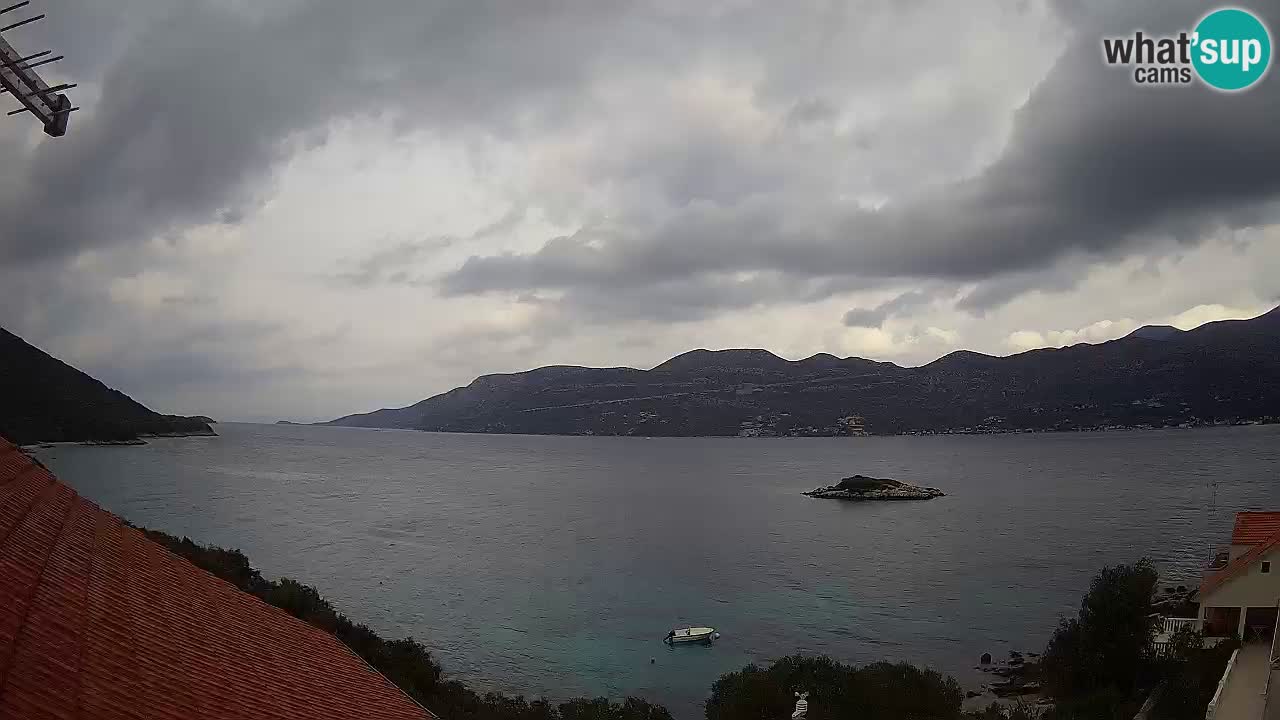 Camera en vivo Korčula – Tri Žala – Pelješac