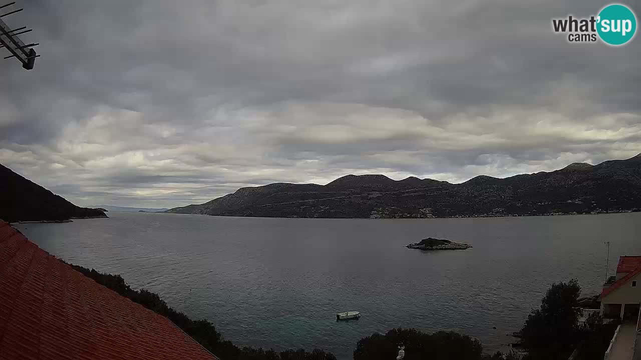 Camera en vivo Korčula – Tri Žala – Pelješac