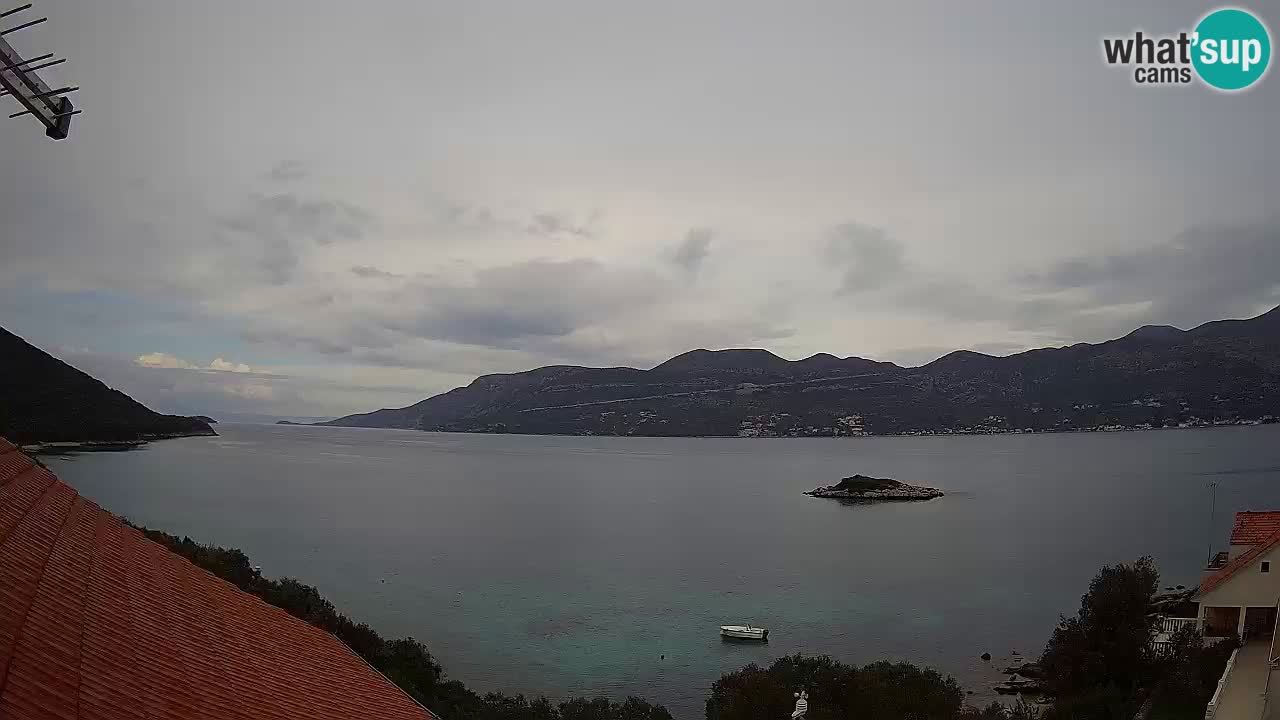 Camera en vivo Korčula – Tri Žala – Pelješac