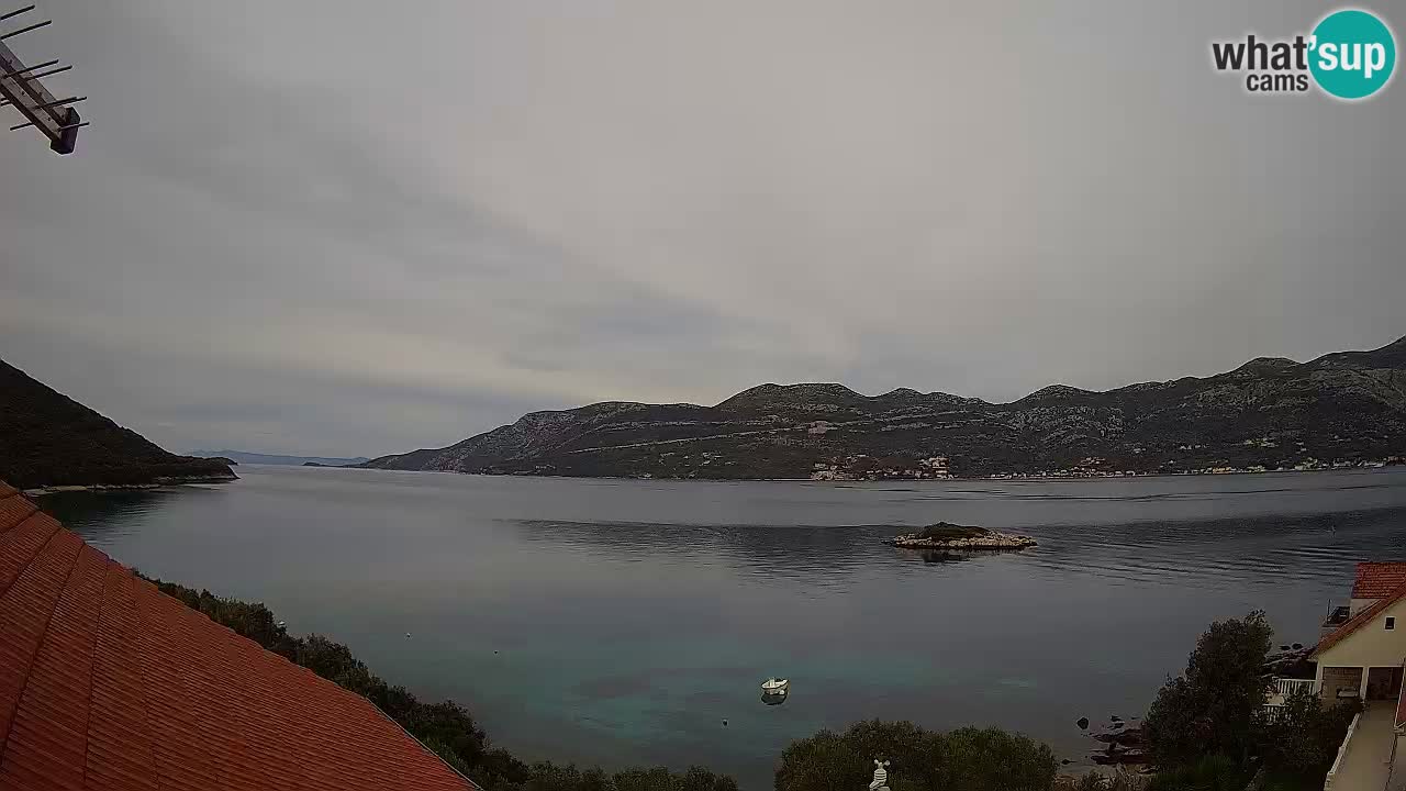Camera en vivo Korčula – Tri Žala – Pelješac