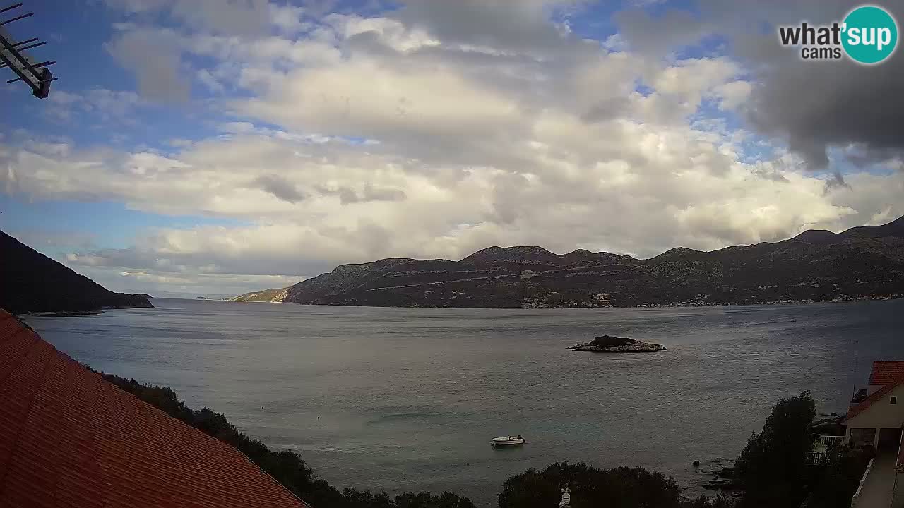 Camera en vivo Korčula – Tri Žala – Pelješac