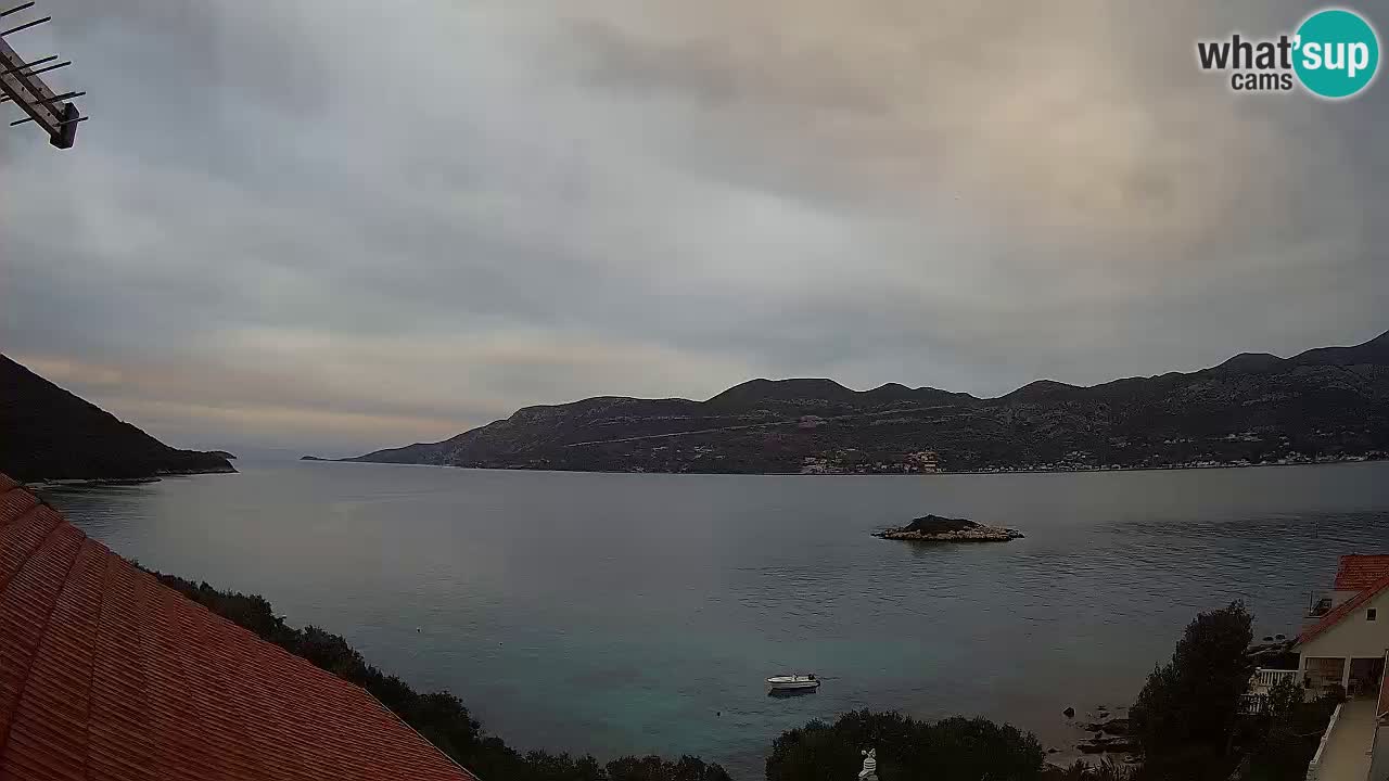 Camera en vivo Korčula – Tri Žala – Pelješac