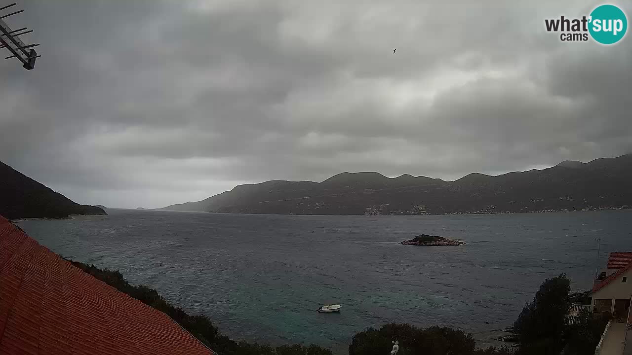 Live Korčula webcam – Tri Žala