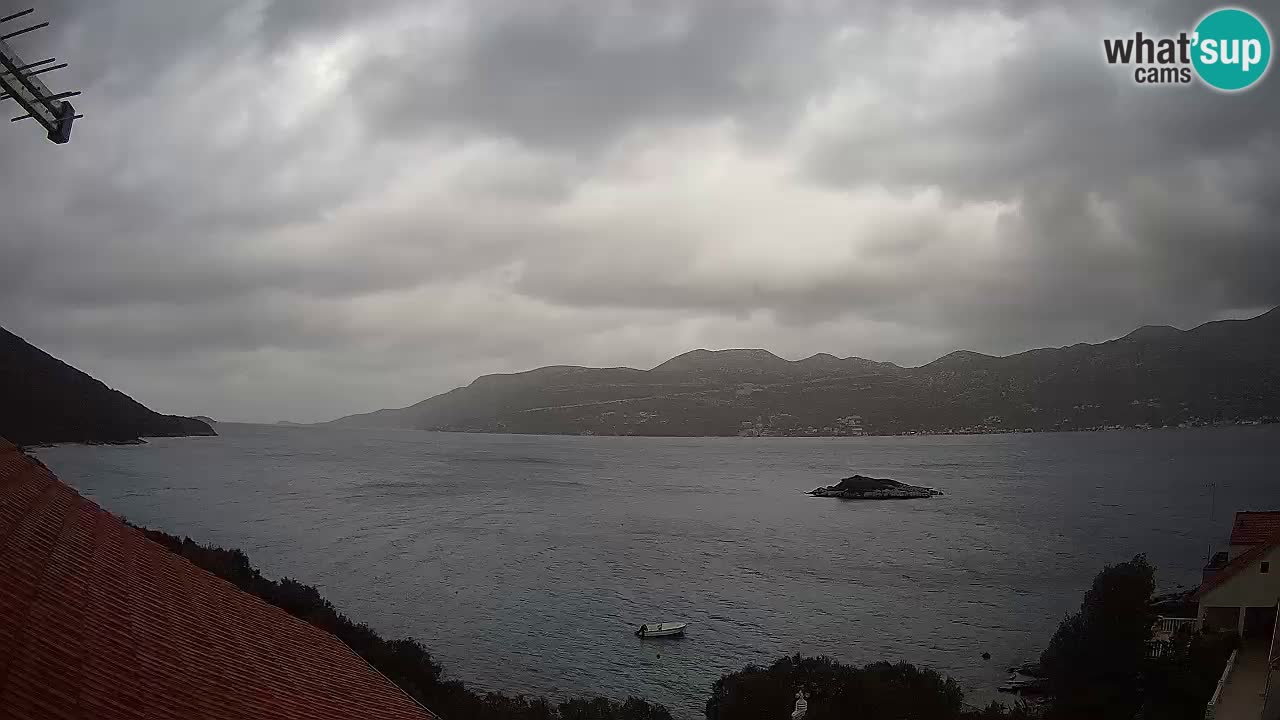 Live Korčula webcam – Tri Žala