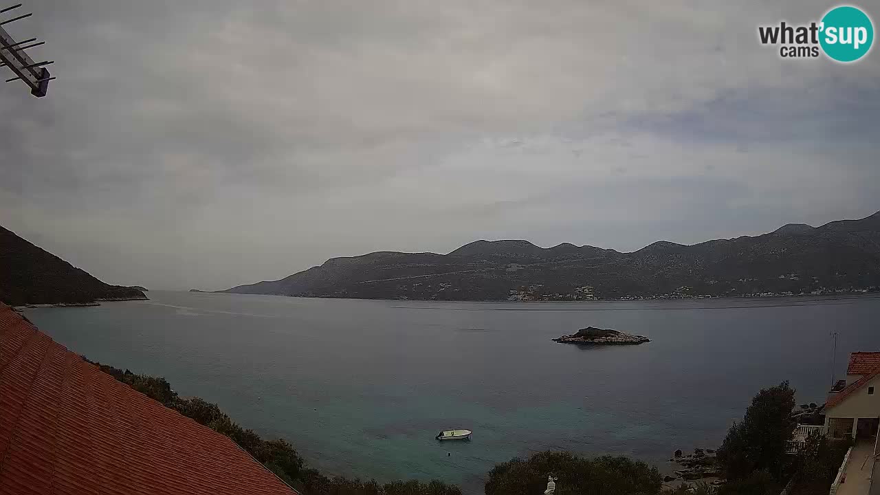 Live Korčula webcam – Tri Žala