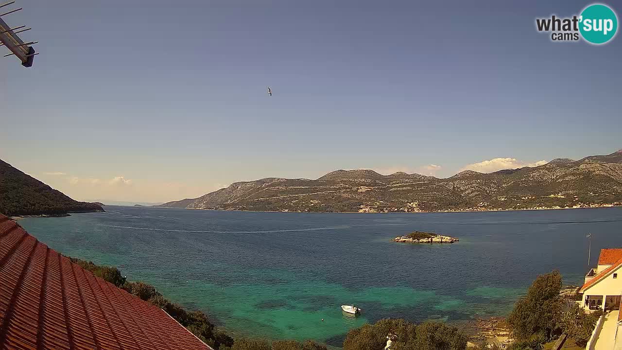 Korčula Web kamera Tri Žala
