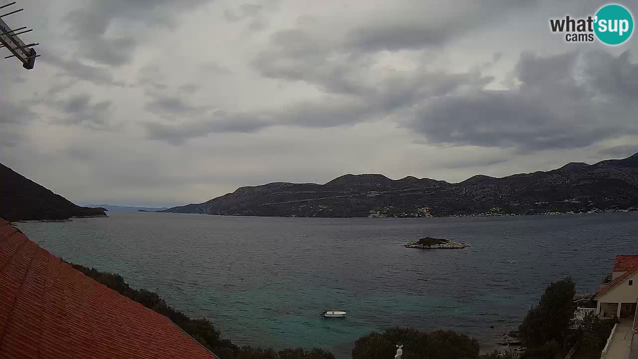 Live Korčula webcam – Tri Žala