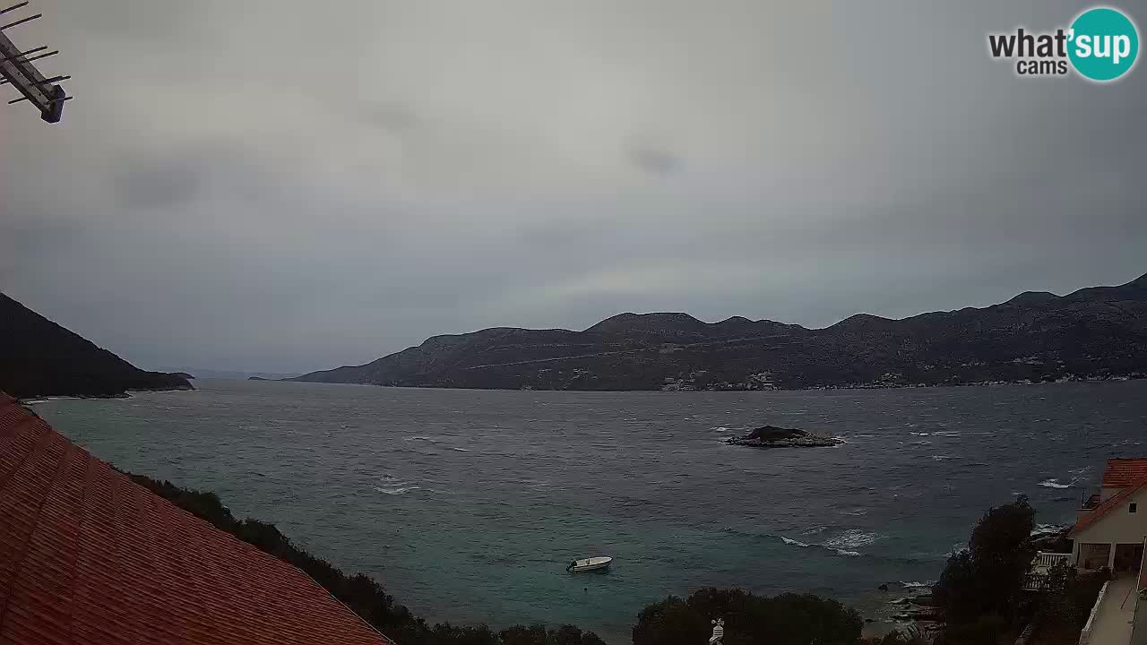 Korčula Web kamera Tri Žala