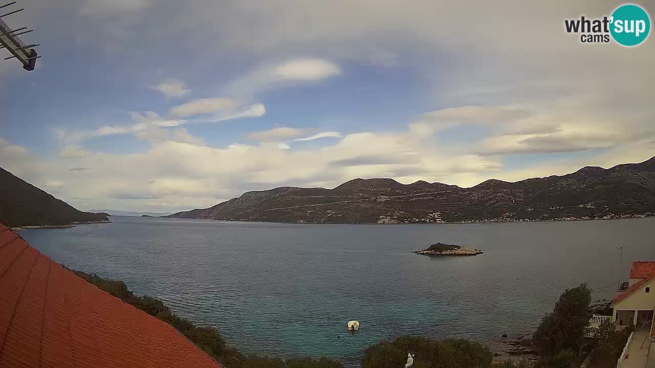 Live Korčula webcam – Tri Žala