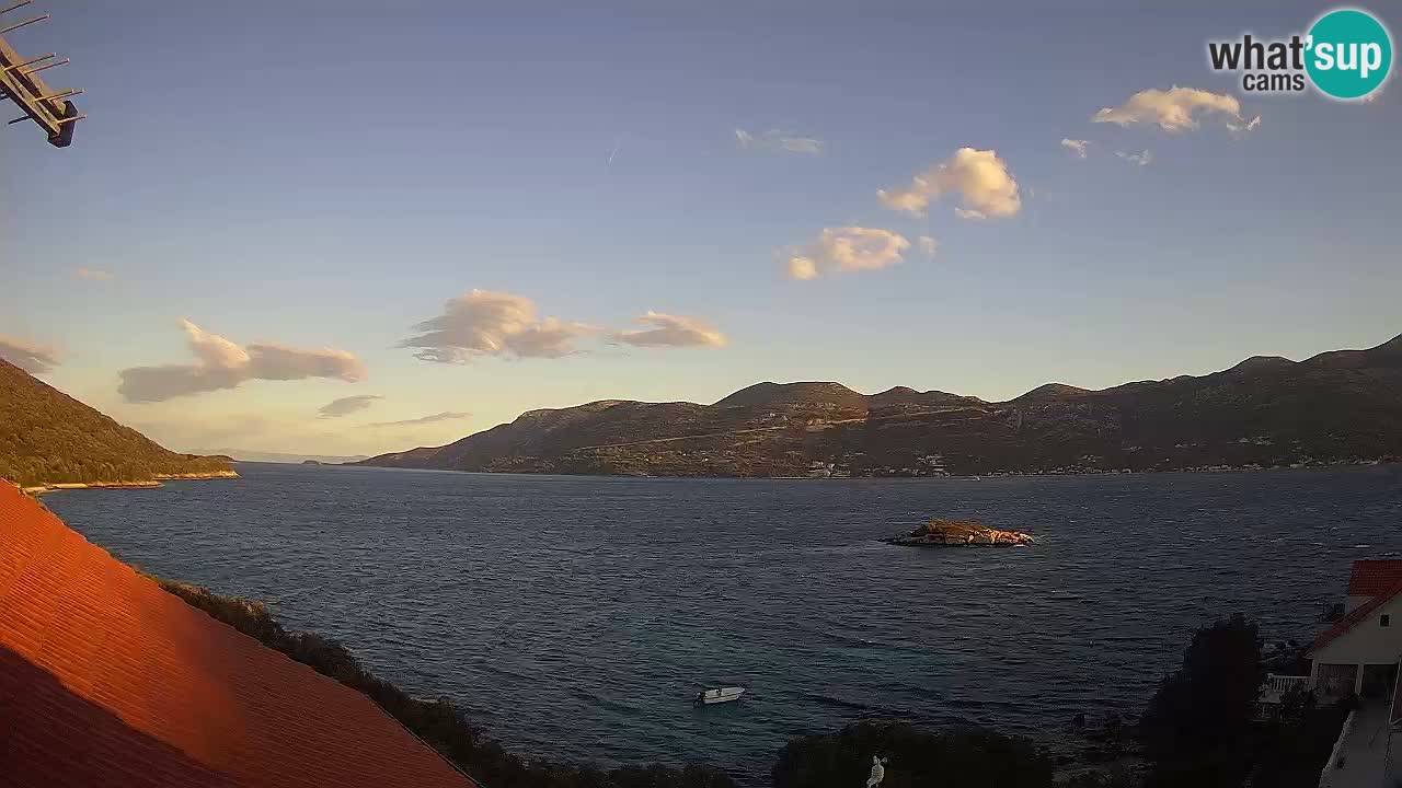 Camera en vivo Korčula – Tri Žala – Pelješac