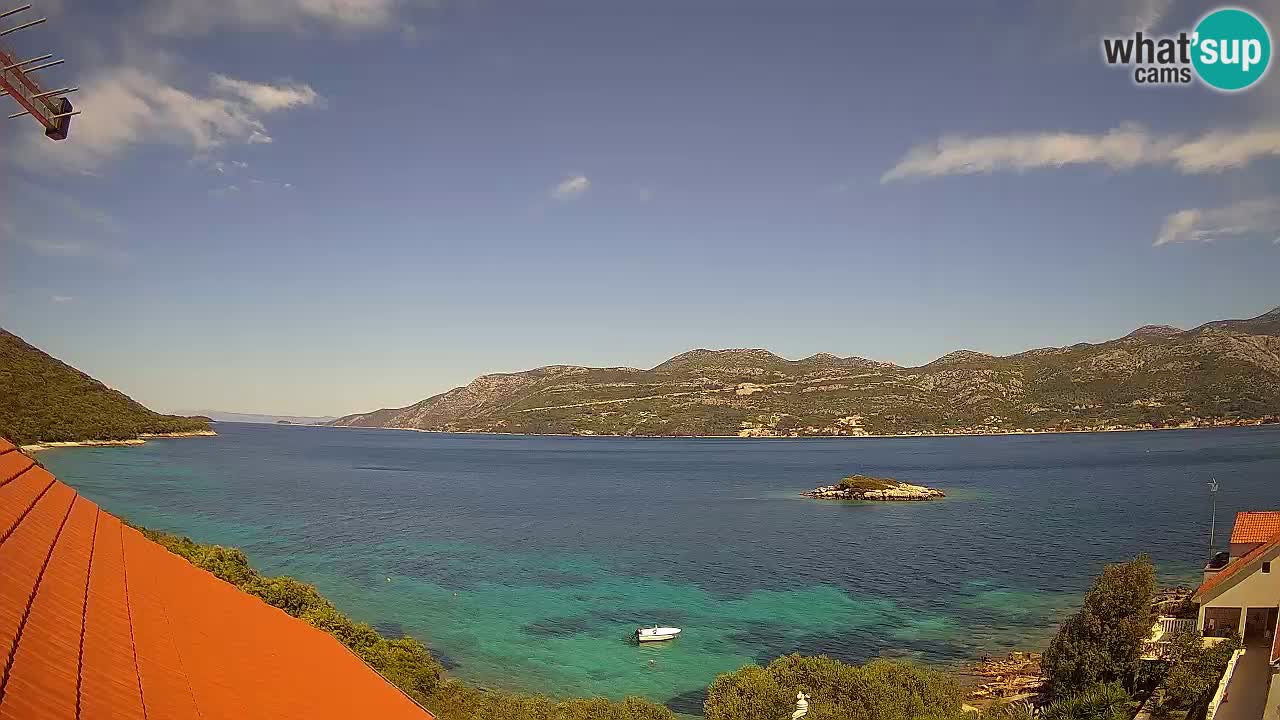Camera en vivo Korčula – Tri Žala – Pelješac