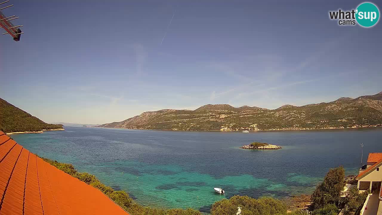 Camera en vivo Korčula – Tri Žala – Pelješac