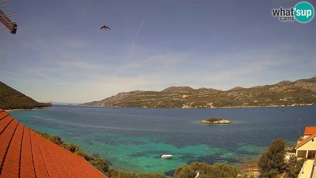 Korčula live webcam – Tri Žala panorama verso Pelješac