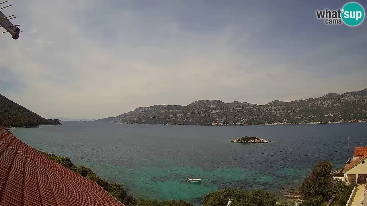 Live Korčula webcam – Tri Žala
