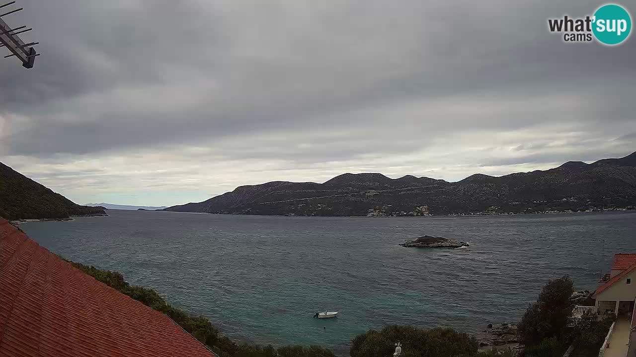 Live Korčula webcam – Tri Žala