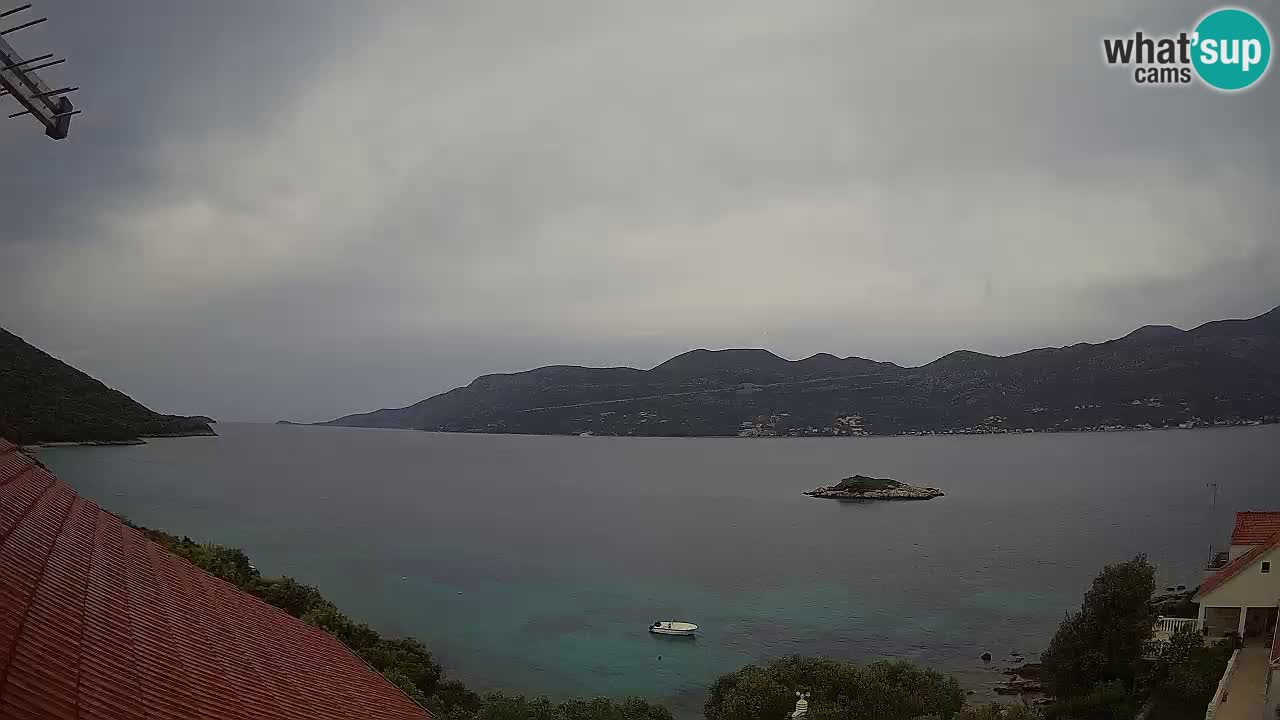 Camera en vivo Korčula – Tri Žala – Pelješac