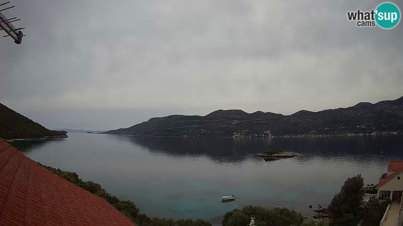 Korčula webcam en direct – Tri Žala Pelješac