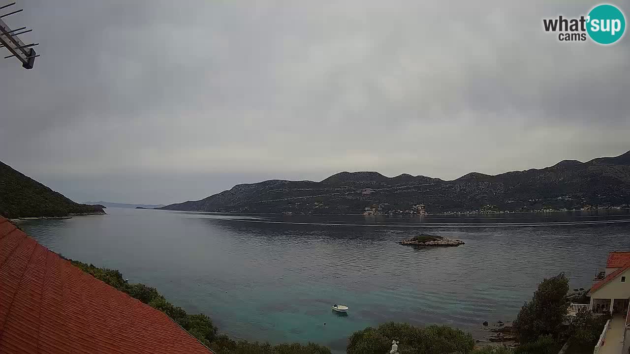 Camera en vivo Korčula – Tri Žala – Pelješac
