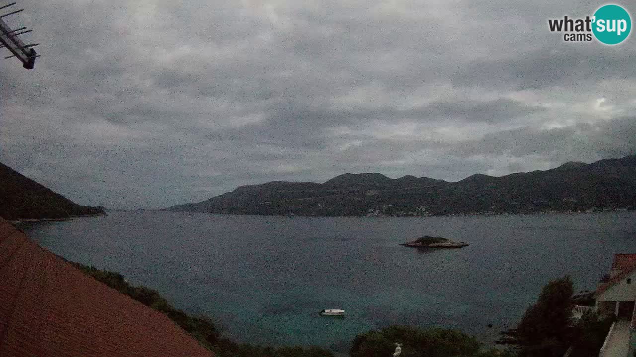 Camera en vivo Korčula – Tri Žala – Pelješac