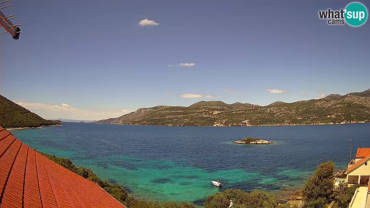 Live Korčula webcam – Tri Žala