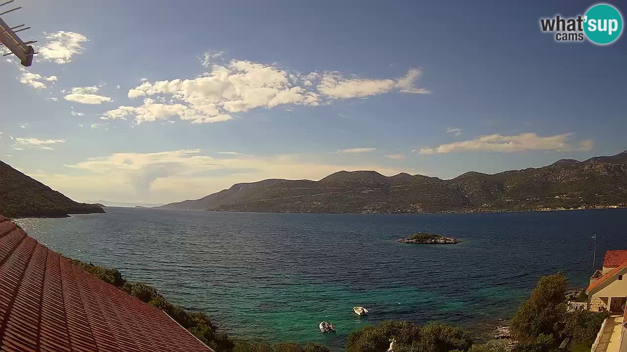 Camera en vivo Korčula – Tri Žala – Pelješac