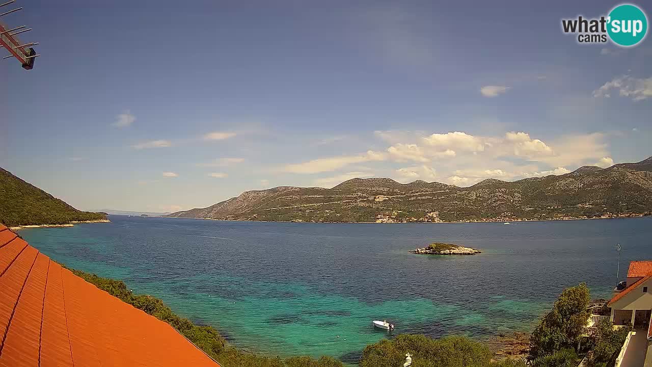 Live Korčula webcam – Tri Žala