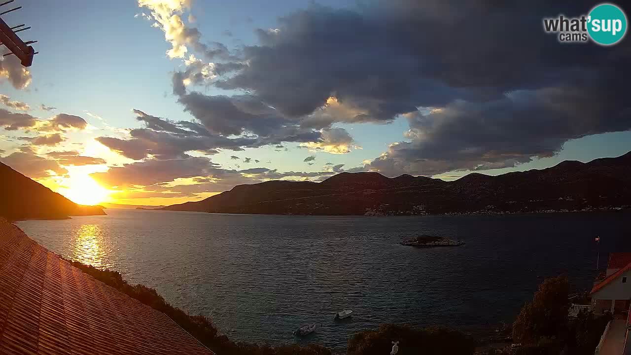 Camera en vivo Korčula – Tri Žala – Pelješac