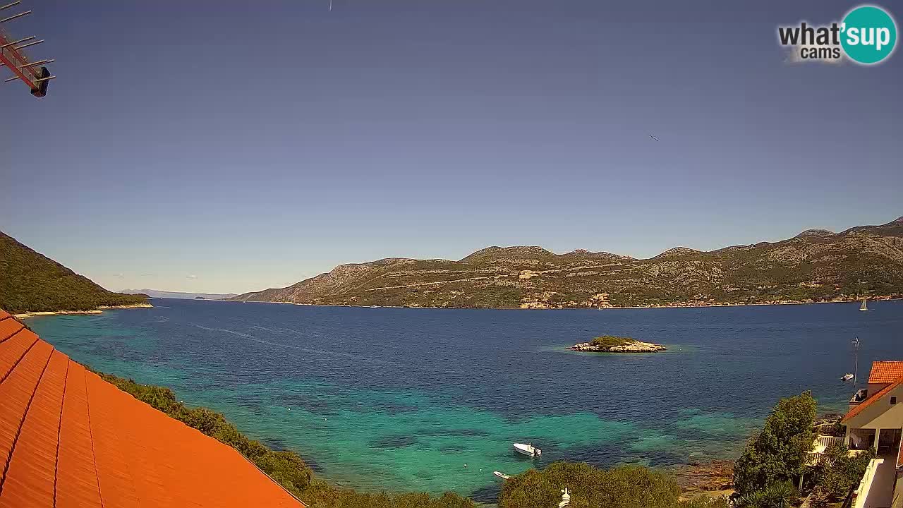 Live Korčula webcam – Tri Žala