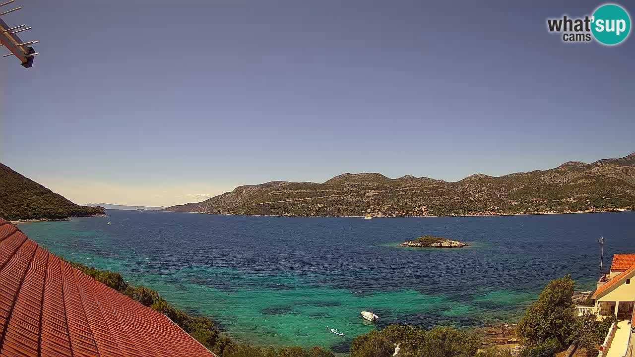 Camera en vivo Korčula – Tri Žala – Pelješac