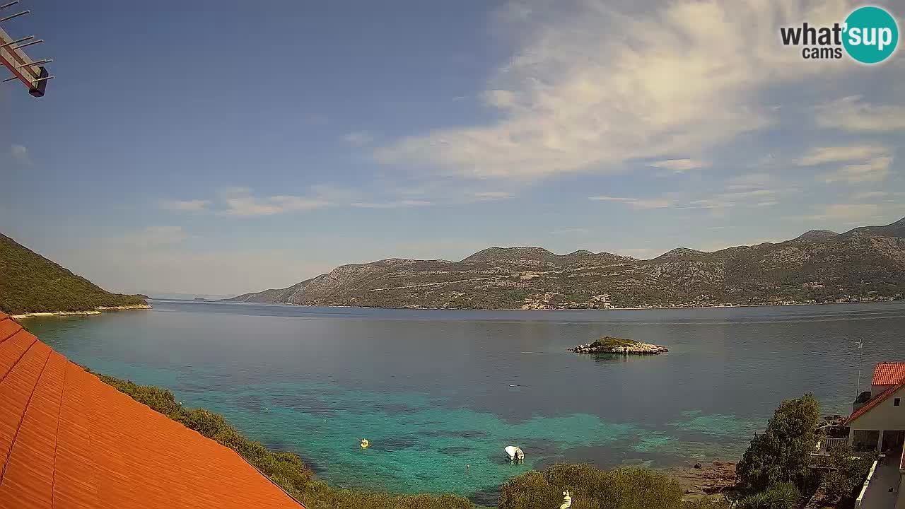 Camera en vivo Korčula – Tri Žala – Pelješac