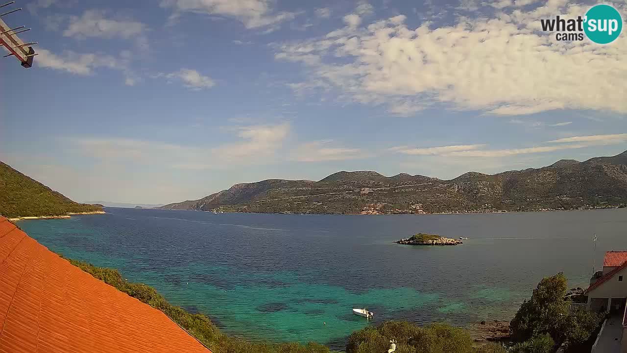 Live Korčula webcam – Tri Žala