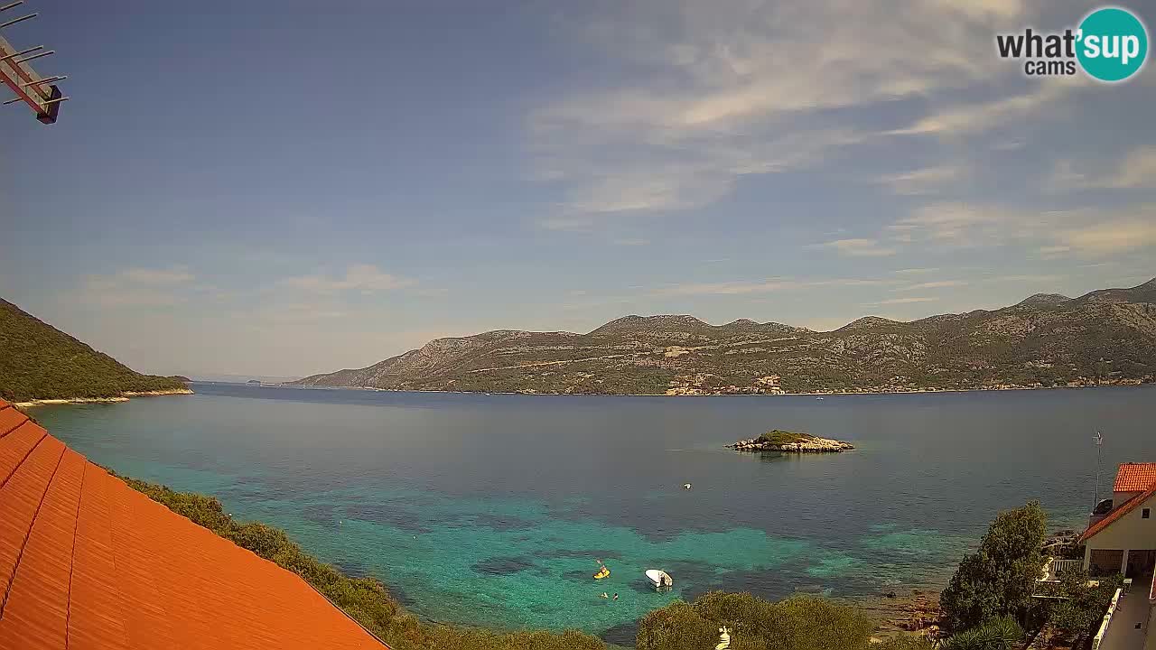 Camera en vivo Korčula – Tri Žala – Pelješac