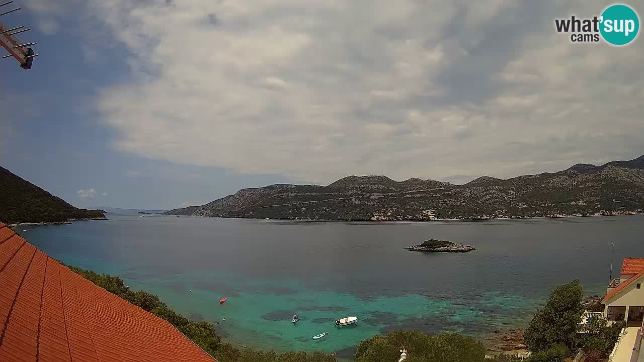 Camera en vivo Korčula – Tri Žala – Pelješac