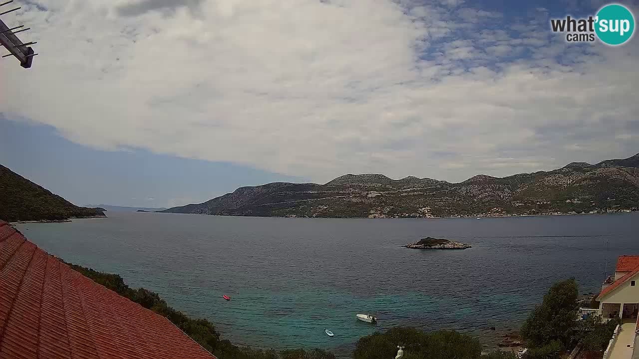 Camera en vivo Korčula – Tri Žala – Pelješac
