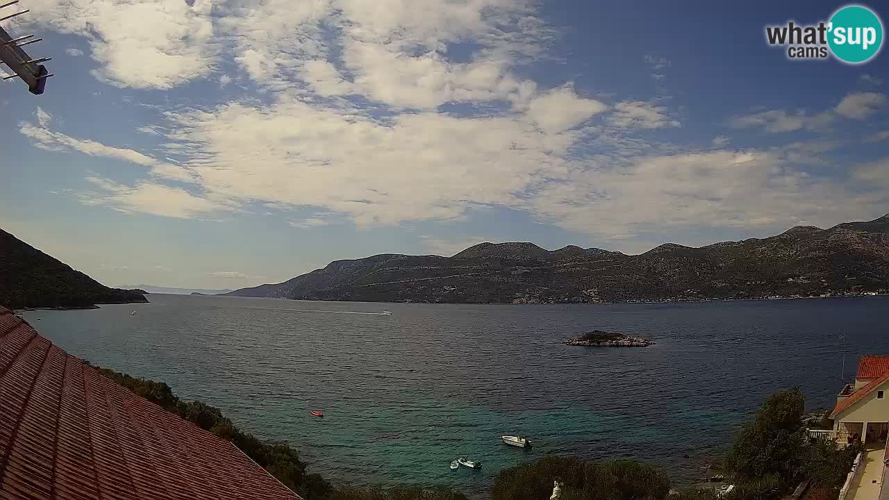 Camera en vivo Korčula – Tri Žala – Pelješac