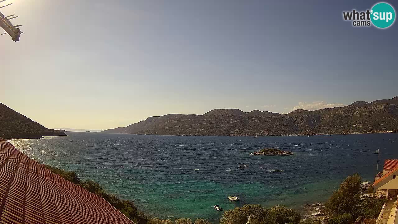 Camera en vivo Korčula – Tri Žala – Pelješac