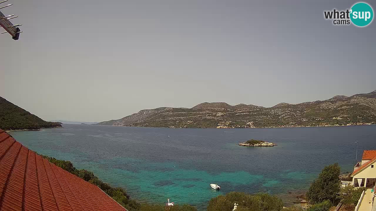 Camera en vivo Korčula – Tri Žala – Pelješac