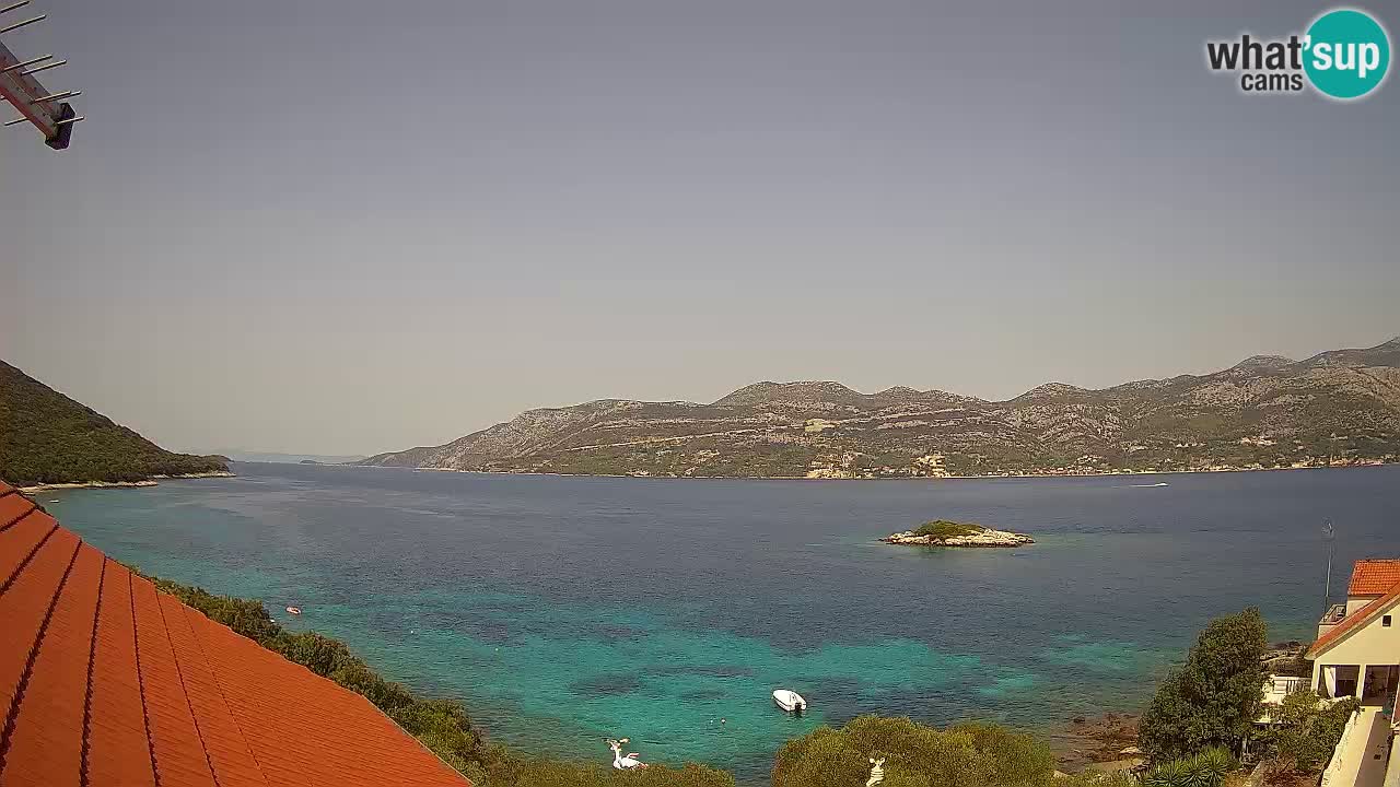 Camera en vivo Korčula – Tri Žala – Pelješac