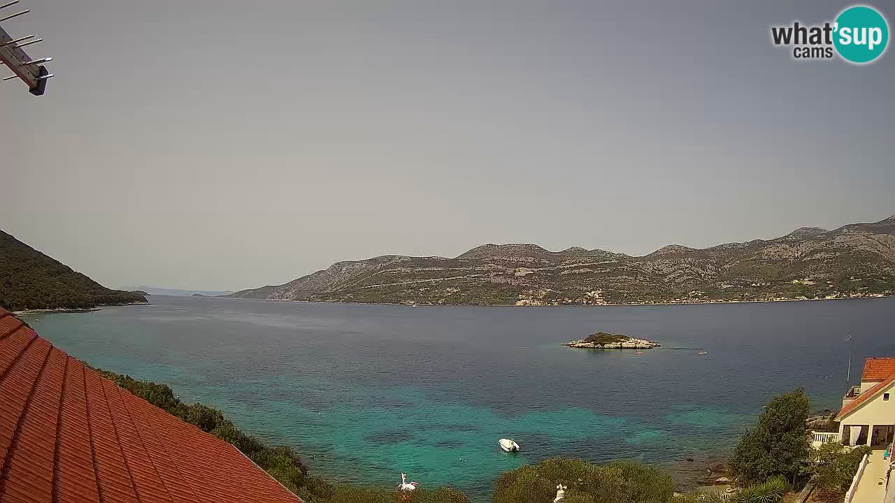 Live Korčula webcam – Tri Žala