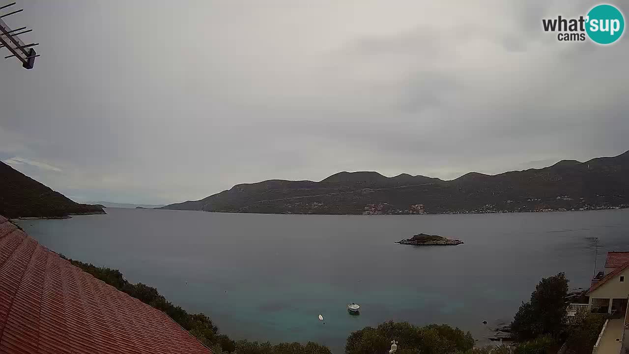 Camera en vivo Korčula – Tri Žala – Pelješac