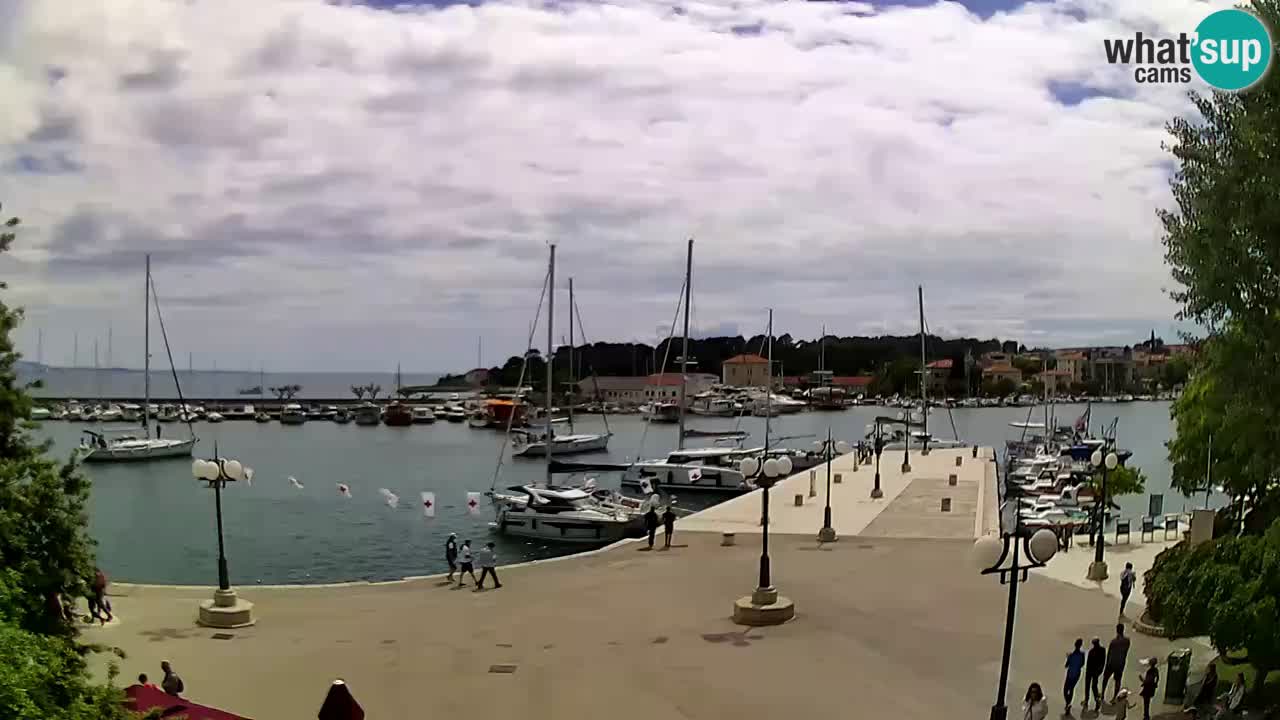 Webcam Krk – marina