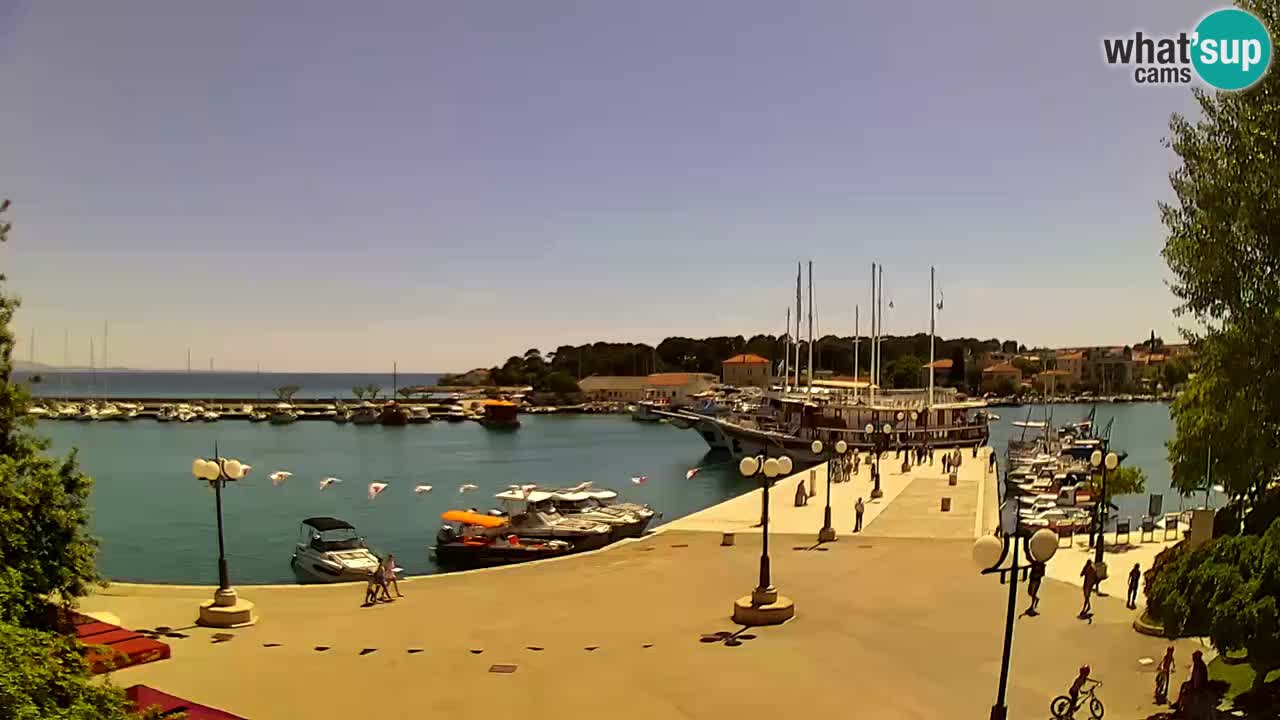 Webcam Krk – marina