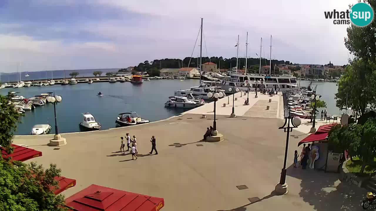 Webcam Krk – marina